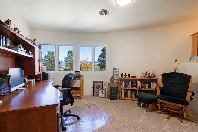 view of carpeted office