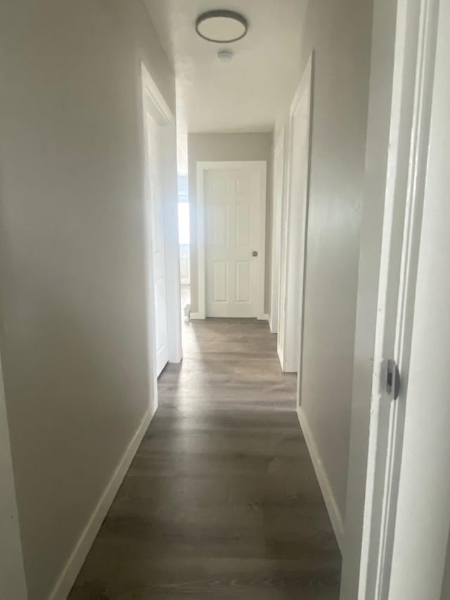 715 Texas Ave, Deer Lodge, MT 59722 - hallway with baseboards and dark wood-type flooring