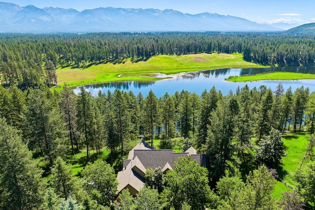 drone / aerial view with a water and mountain view