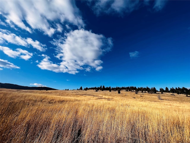 Listing photo 2 for TBD Livingston Peak Rd, Livingston MT 59047