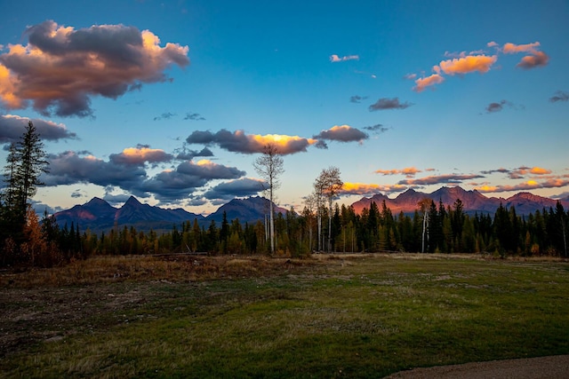 mountain view