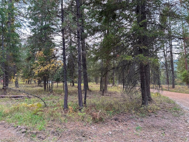 Listing photo 3 for NHN Farlan Ln, Thompson Falls MT 59873