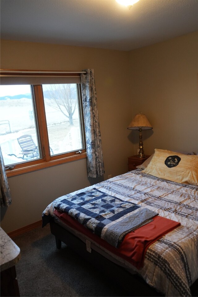 bedroom with dark colored carpet