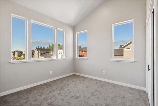 spare room with lofted ceiling and carpet floors