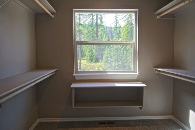 spacious closet featuring visible vents