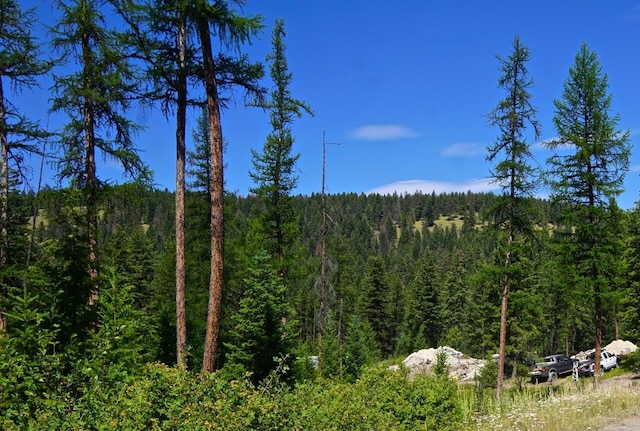 view of nature with a view of trees