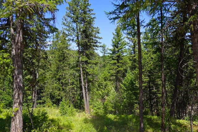 view of nature featuring a forest view