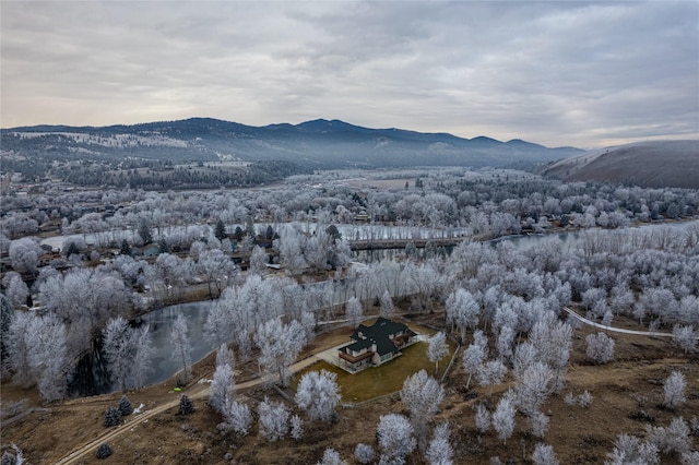 birds eye view of property featuring a mountain view