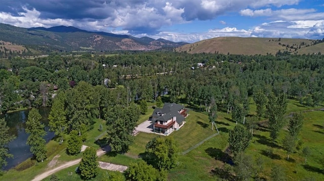 drone / aerial view with a mountain view