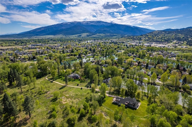 birds eye view of property with a mountain view