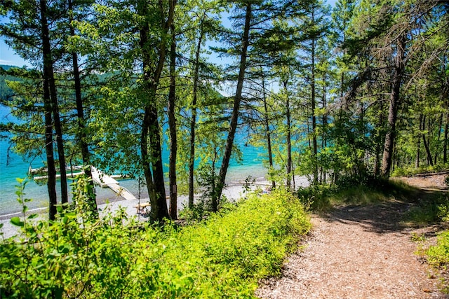 105 Cedar Way Unit 105, Whitefish, MT 59937 - water view