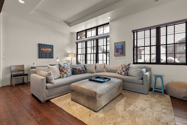 living room with a wealth of natural light, a raised ceiling, and dark hardwood / wood-style flooring