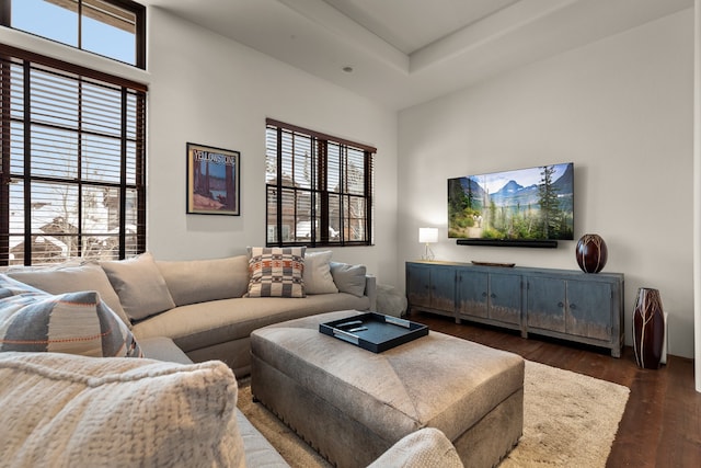 living room with dark hardwood / wood-style flooring, a wealth of natural light, and a raised ceiling