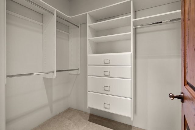 spacious closet with carpet flooring