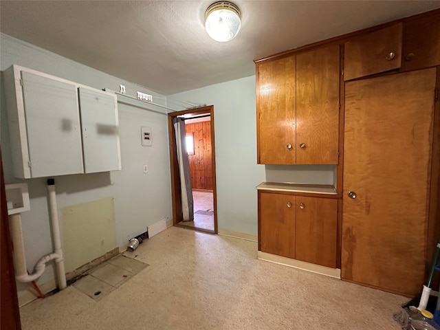 laundry area with cabinets