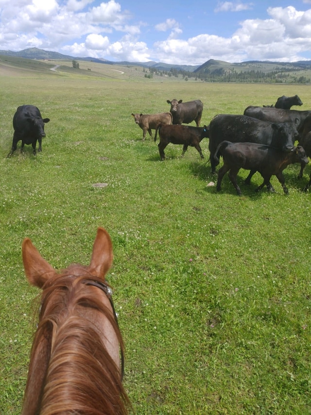 Listing photo 2 for NHN Farm View Ln, Florence MT 59833