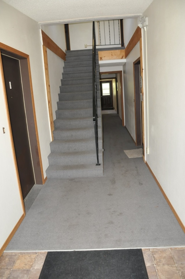 stairway with carpet flooring