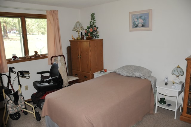 bedroom with carpet floors