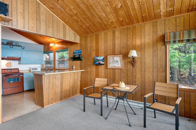 interior space featuring wooden walls, wooden ceiling, and vaulted ceiling