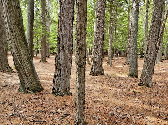 view of nature