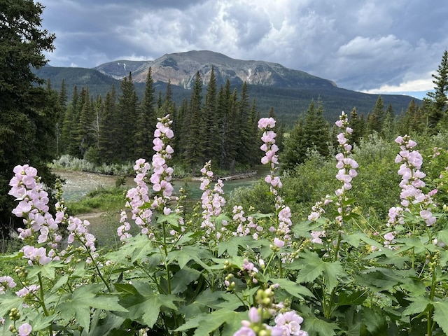 property view of mountains