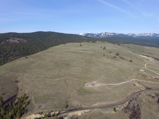 birds eye view of property featuring a mountain view and a rural view