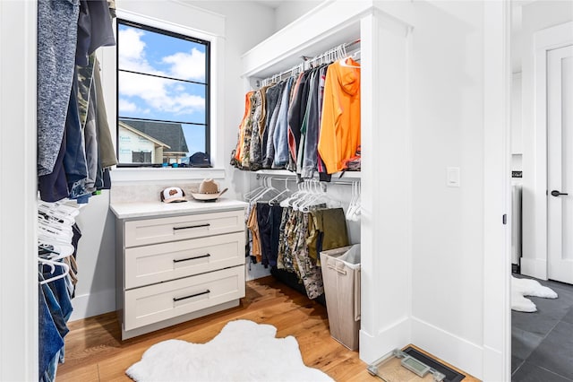 spacious closet featuring light hardwood / wood-style flooring