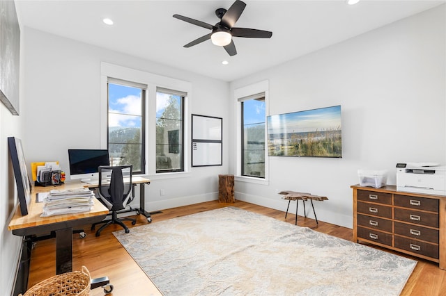 office featuring ceiling fan and light hardwood / wood-style flooring