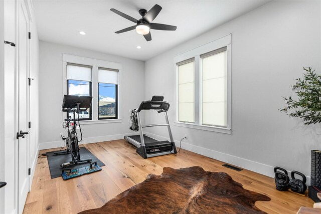 exercise room with ceiling fan and light hardwood / wood-style flooring