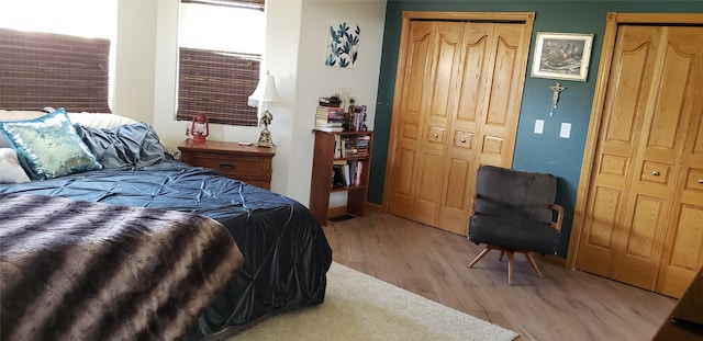 bedroom with wood-type flooring and two closets