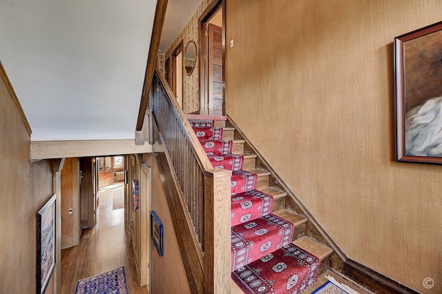 staircase featuring wood-type flooring