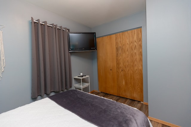 bedroom with a closet and wood-type flooring