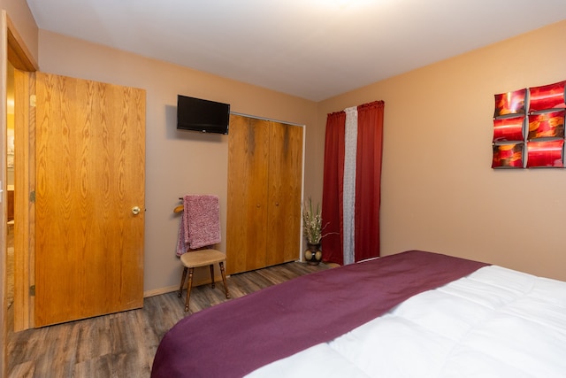 bedroom featuring a closet and wood-type flooring