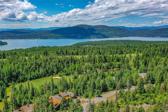 181 S Shooting Star Cir, Whitefish MT, 59937 land for sale