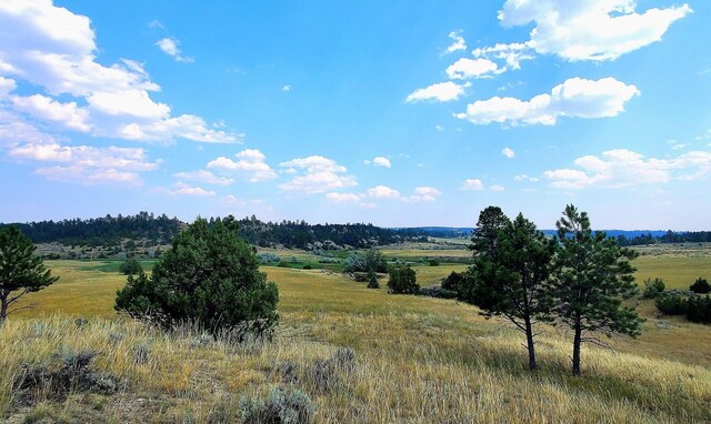 view of local wilderness featuring a rural view