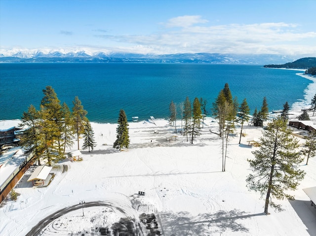 property view of water featuring a mountain view