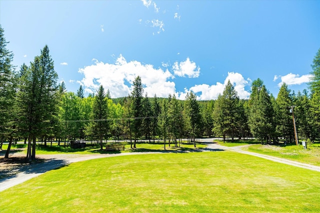 view of property's community featuring a lawn