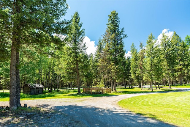 view of property's community with a yard