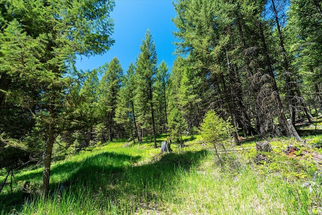 view of local wilderness