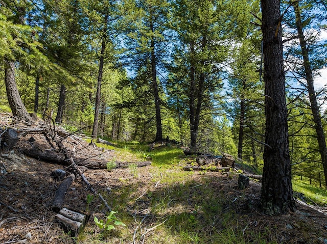 view of local wilderness