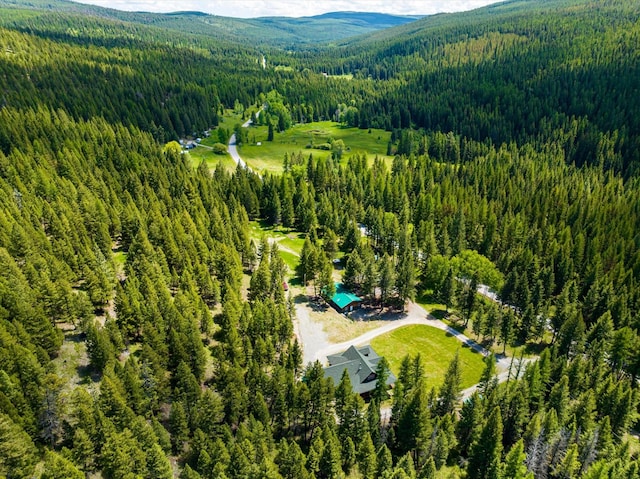 aerial view featuring a mountain view