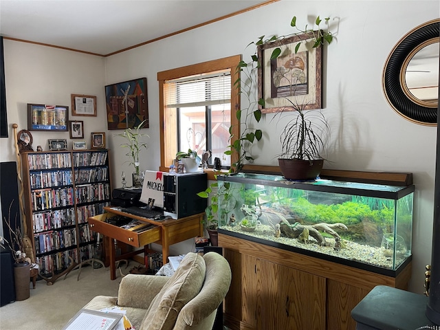 carpeted home office with ornamental molding