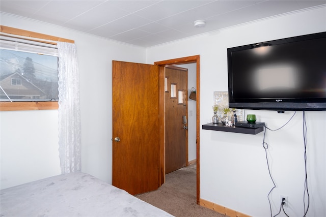 bedroom with light colored carpet