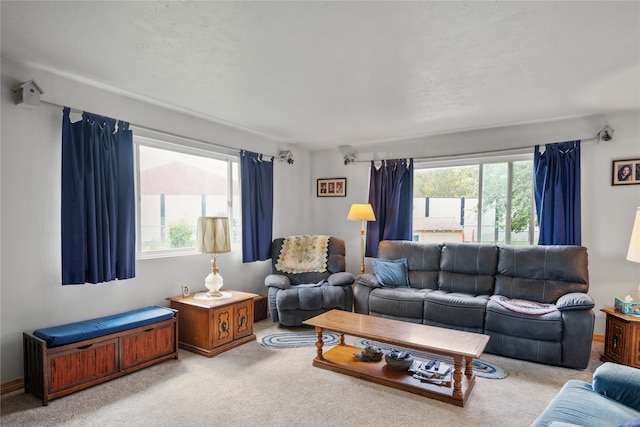 707 W Desta St, Hamilton, MT 59840 - living room with light colored carpet and a healthy amount of sunlight