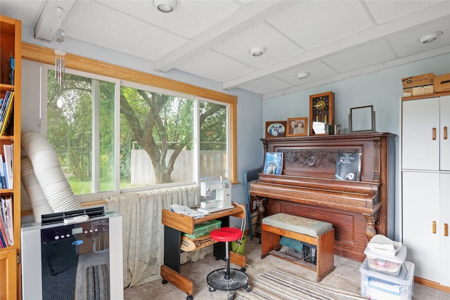 707 W Desta St, Hamilton, MT 59840 - misc room featuring a paneled ceiling and light colored carpet