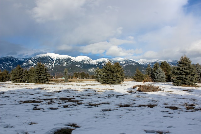 Listing photo 3 for 197 Jefferson St, Kalispell MT 59901