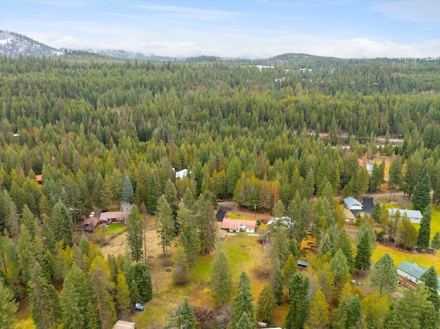 drone / aerial view featuring a mountain view