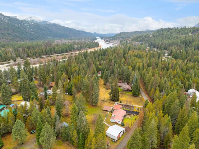 drone / aerial view featuring a mountain view