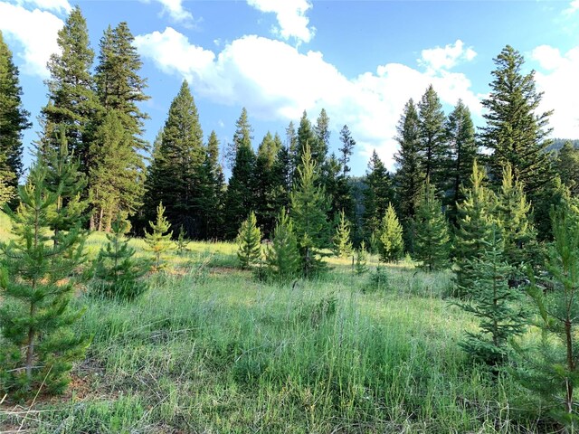 Listing photo 3 for 5 Royal Gold Rd, Philipsburg MT 59858