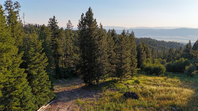 60 S Granite Rd, Philipsburg MT, 59858 land for sale